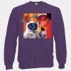 Classic 80/20 raglan sweatshirt Thumbnail