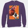 Classic 80/20 raglan sweatshirt Thumbnail